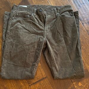GAP Men's Dark Brown Corduroy Pants